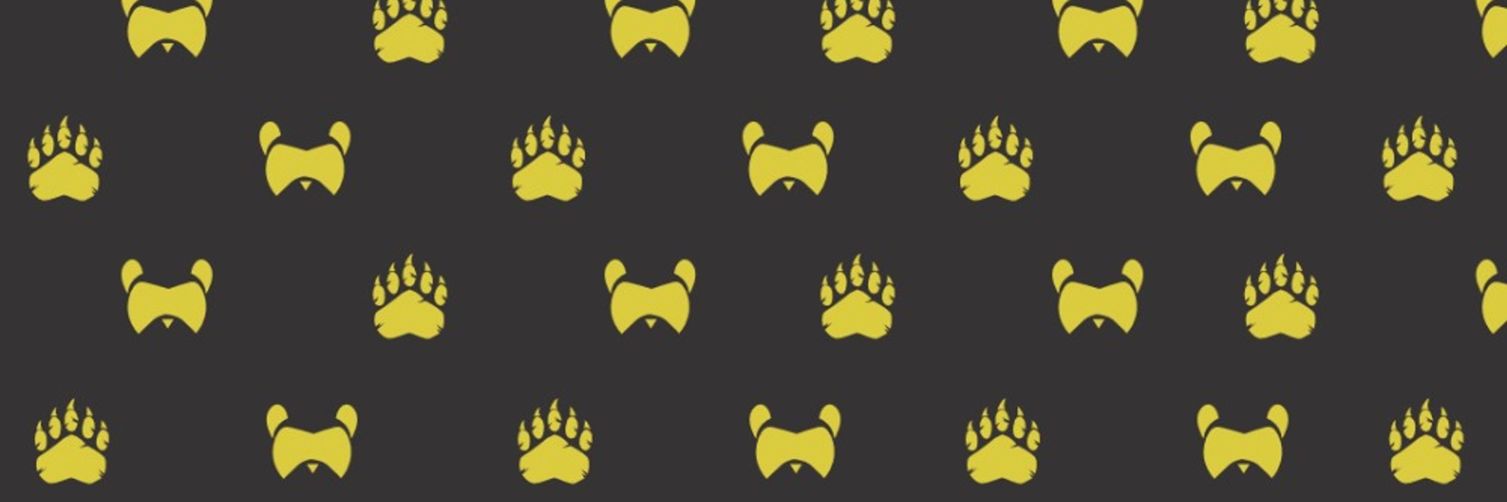 Spectacle Bear 