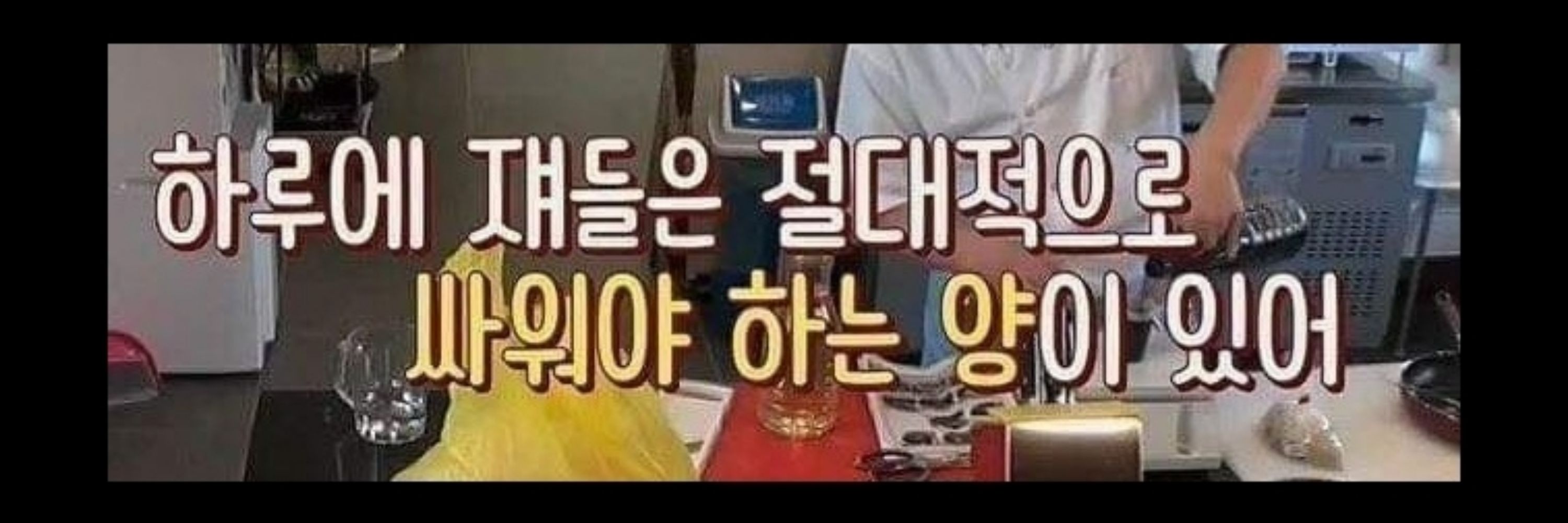 쵸님