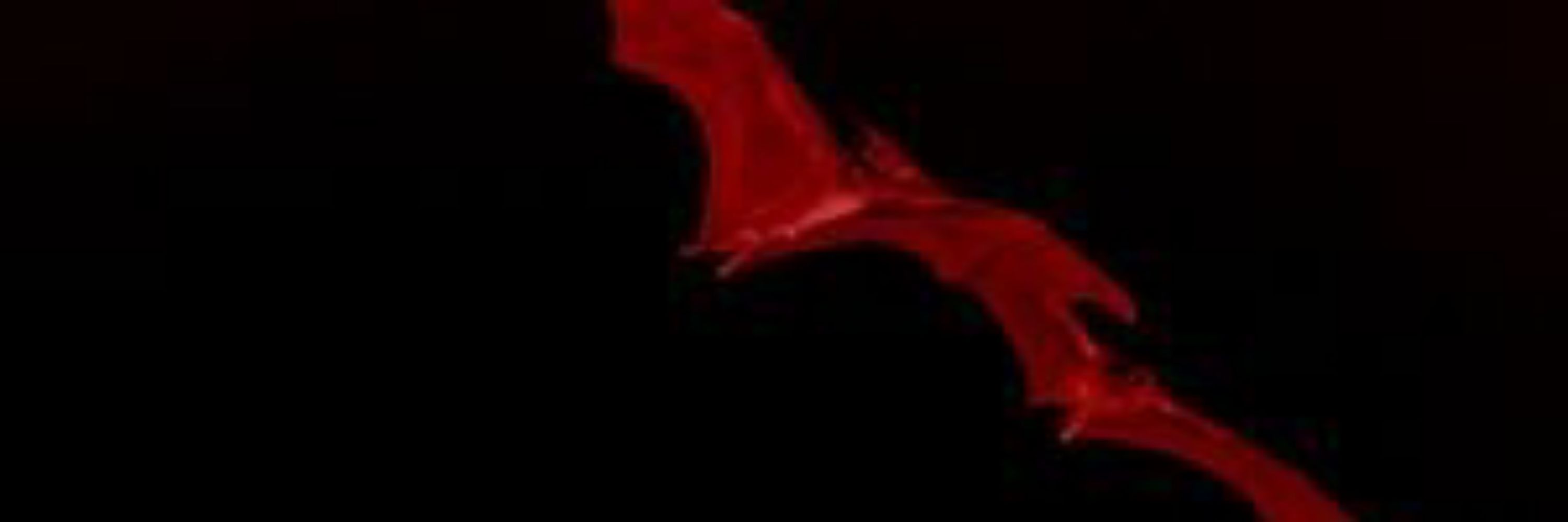 J.