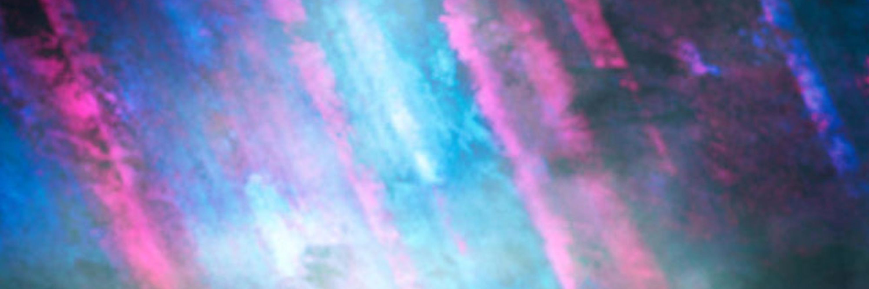 Profile banner