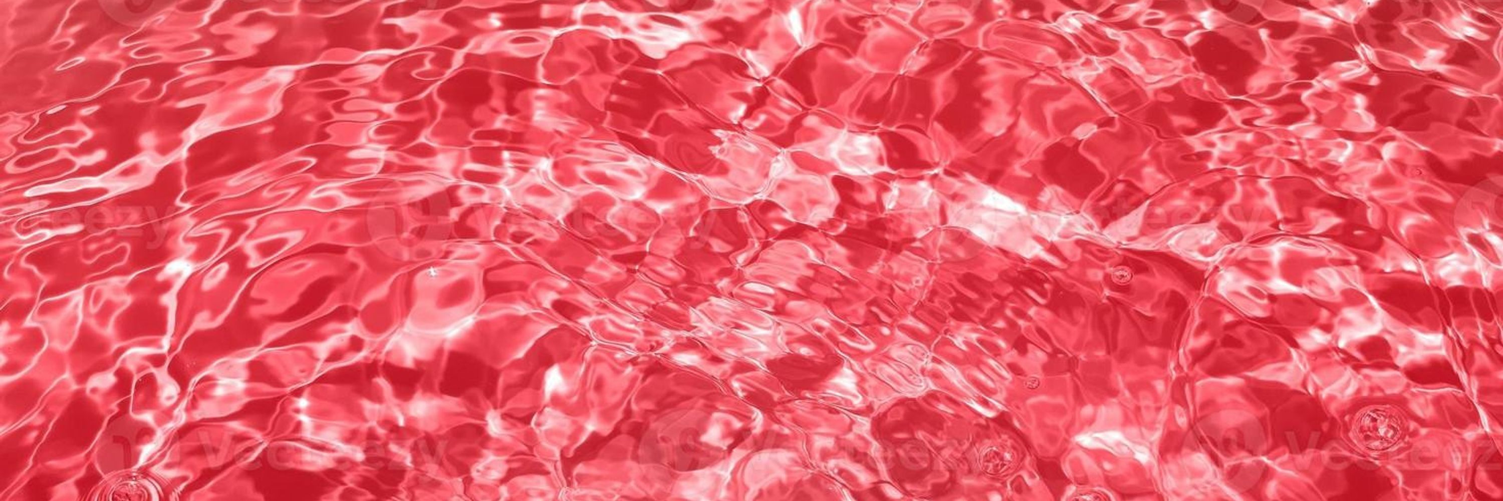 Sanguine Squid