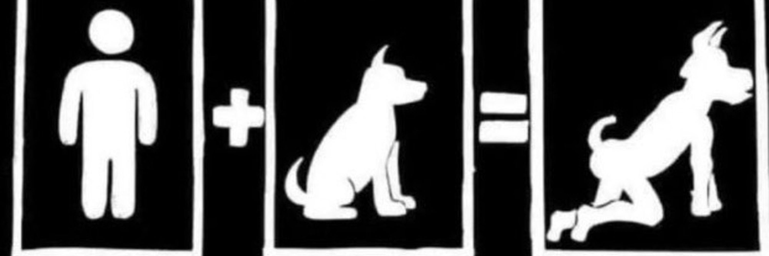 Alpha Cerberus