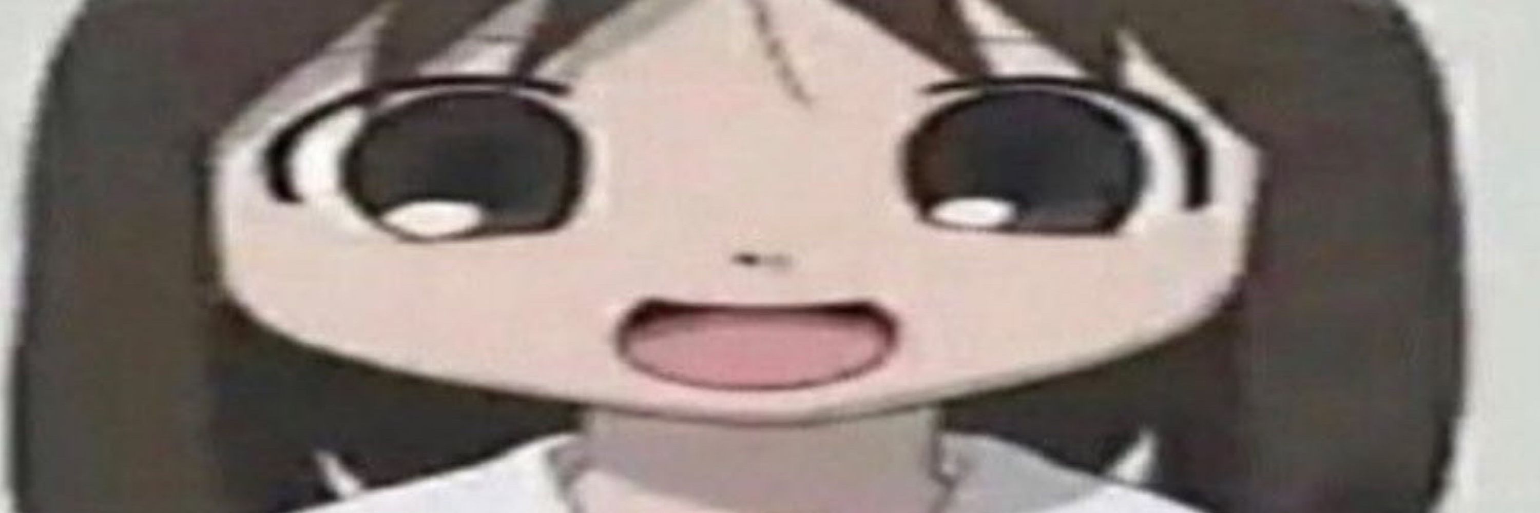 Kot 