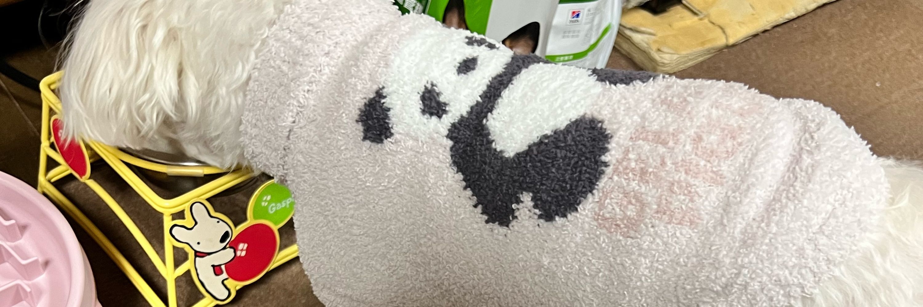 ありんこ