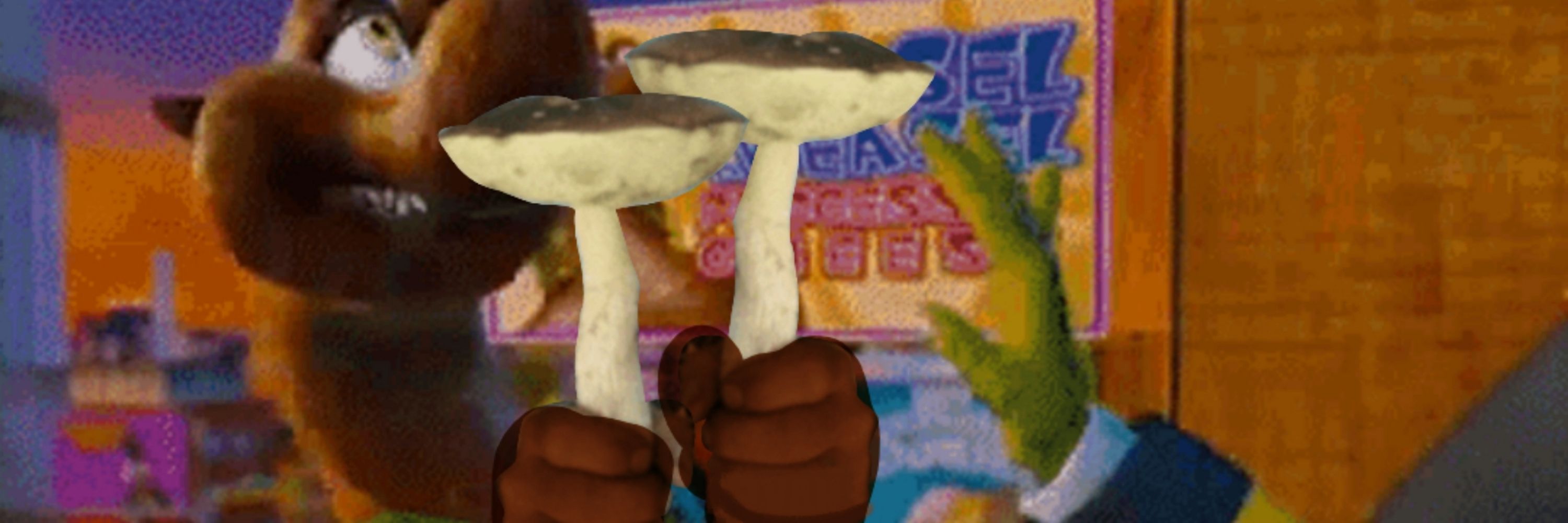 I LOVE MUSHROOMS