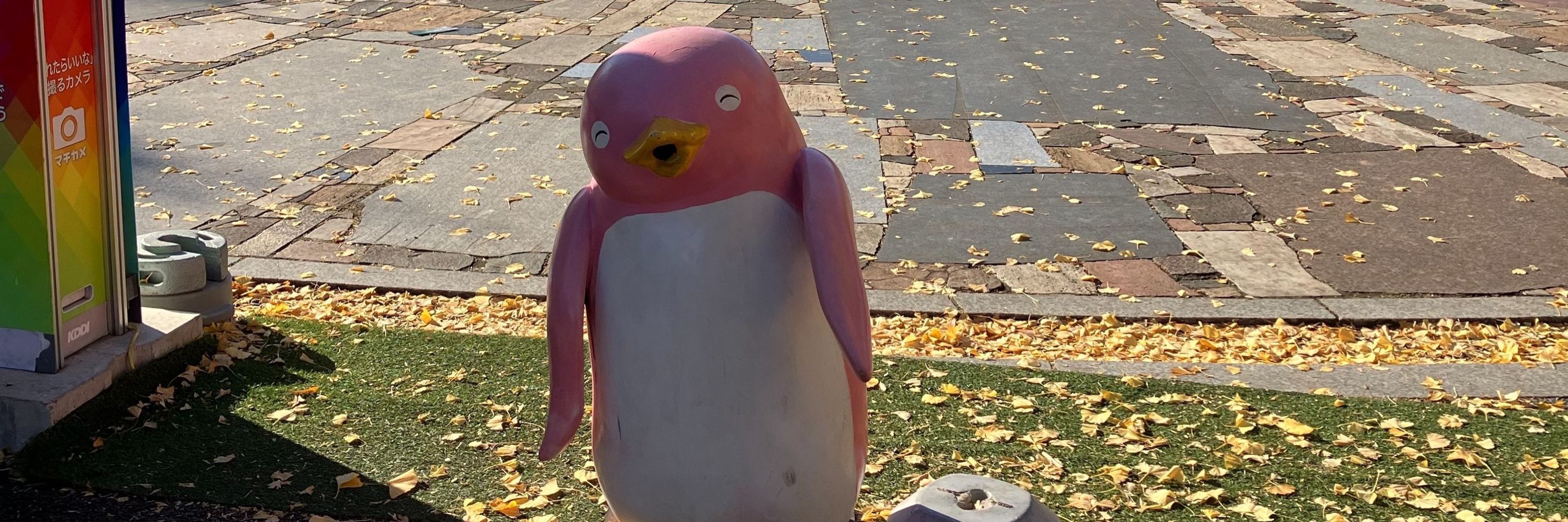 ば🐥