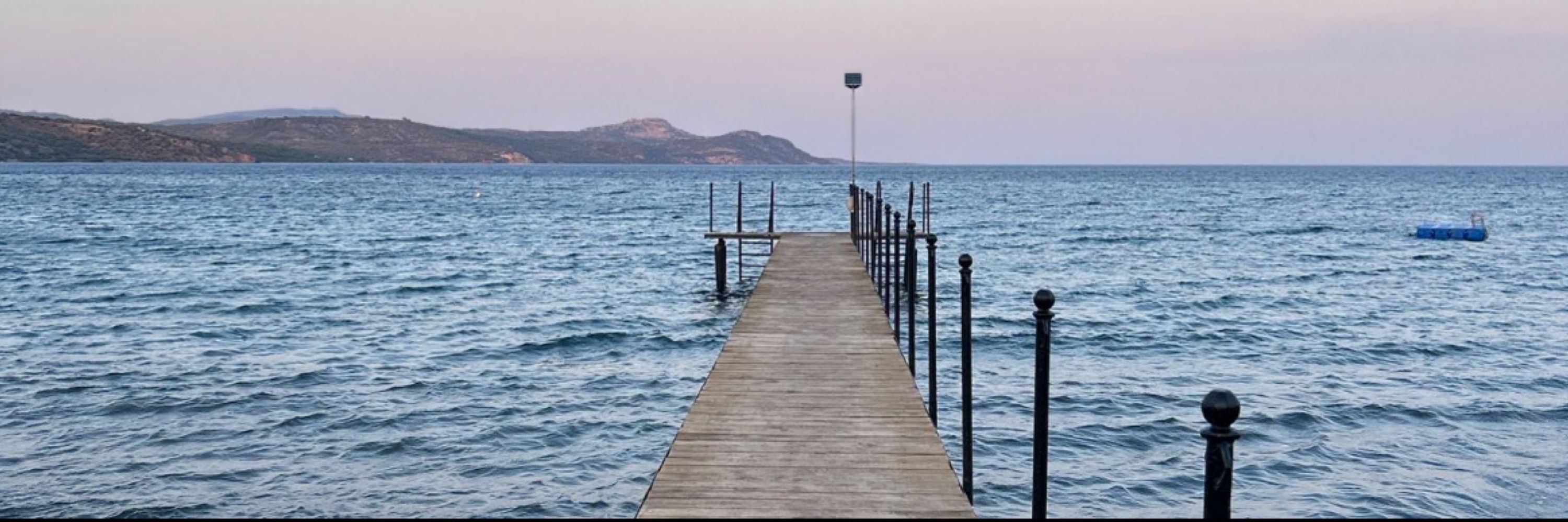 Sade Poğaça