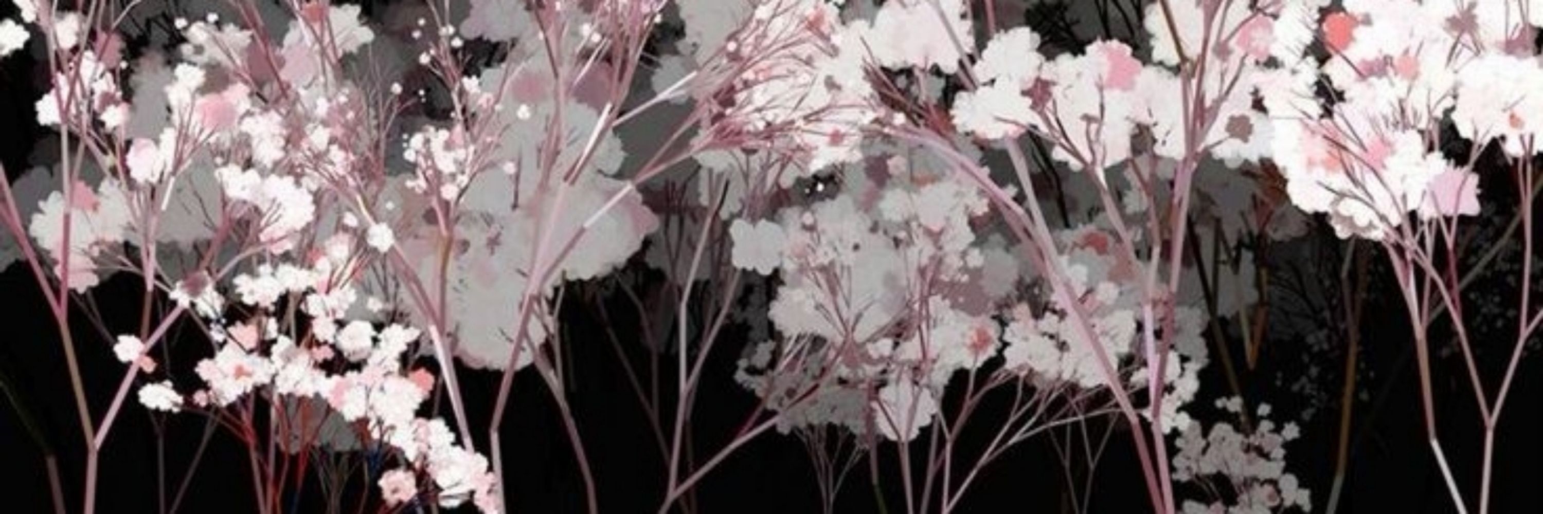 ˊ 𐚁˒  𝗏𝗂𝖼𝗄  𝓦.  𝗃𝖾𝗈𝗇𝗀