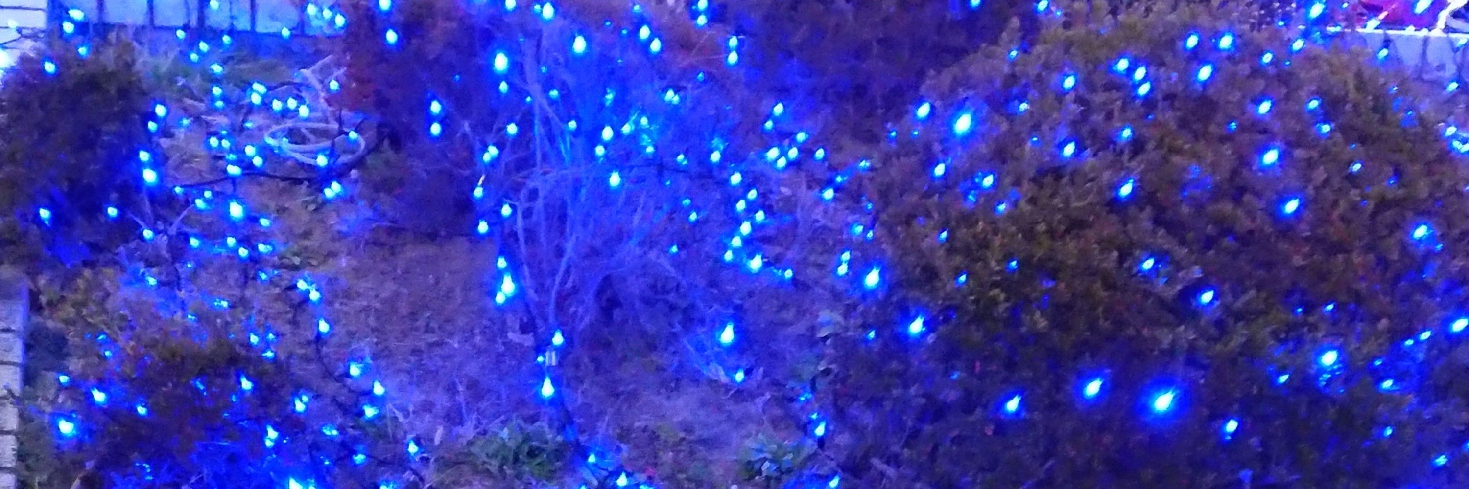 たあびん
