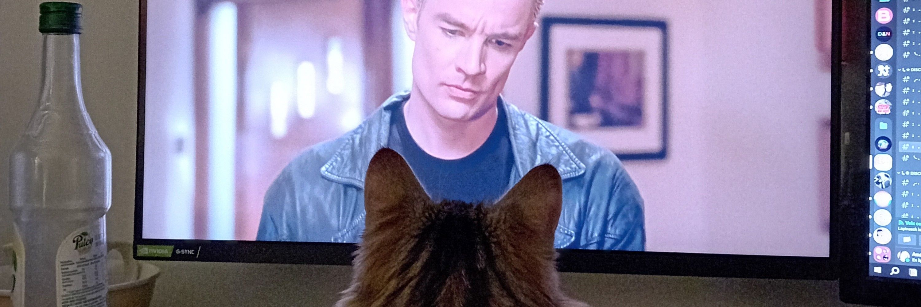 Amelyse In The Buffyverse ~