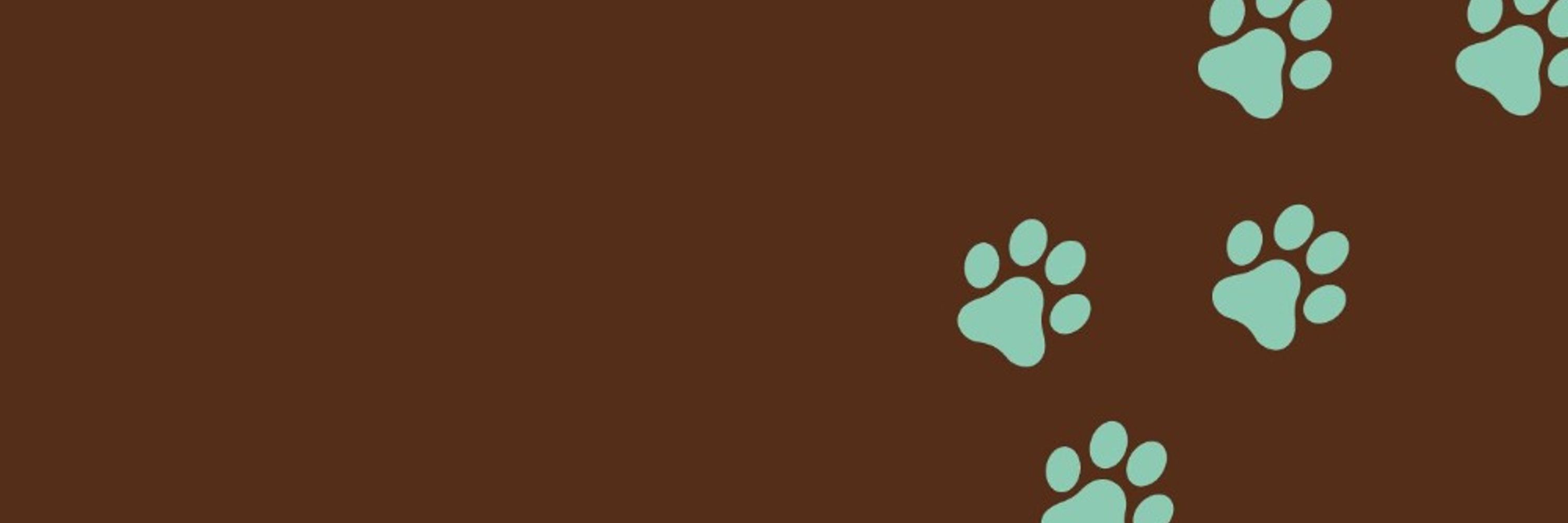 Cat-a-lyst&cattic