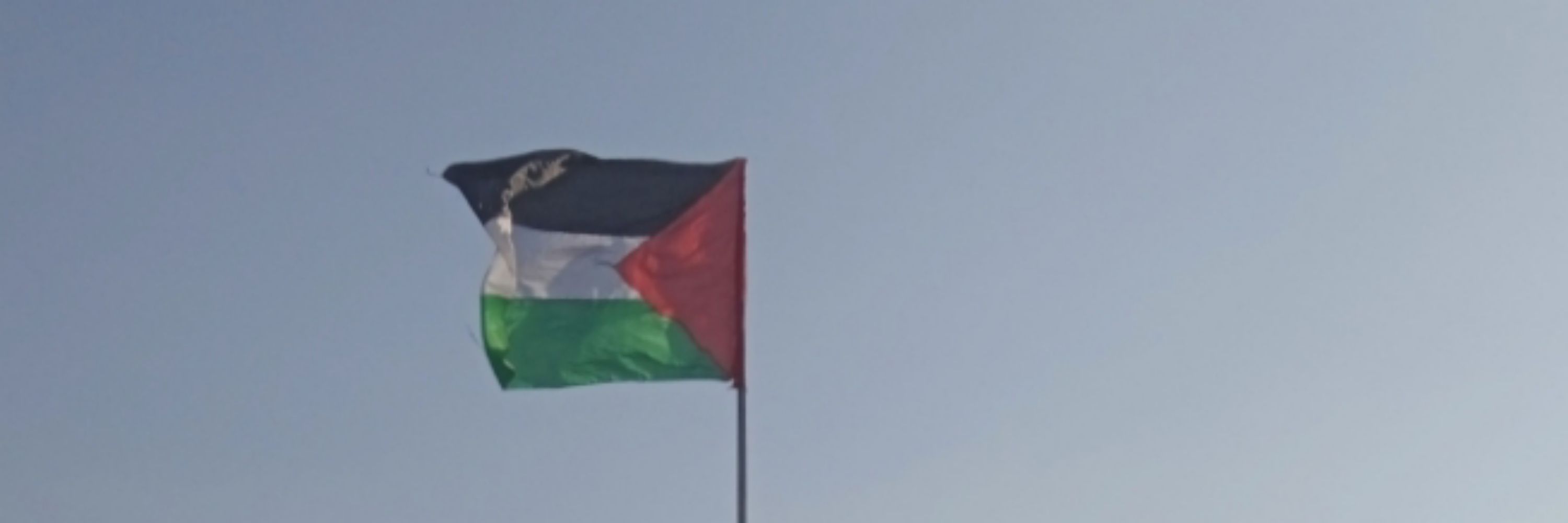 Mohammed Nasser
