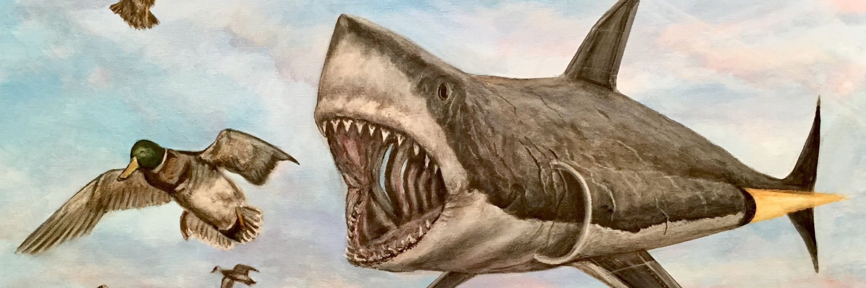 le shark