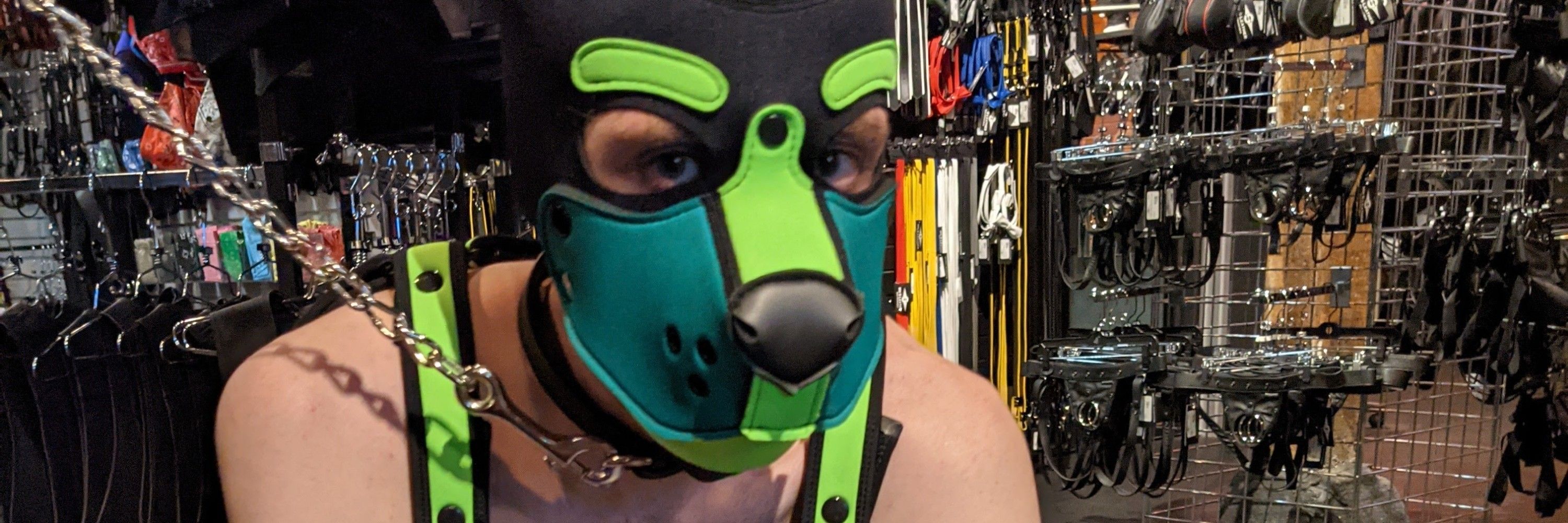 Dio Likes Pup