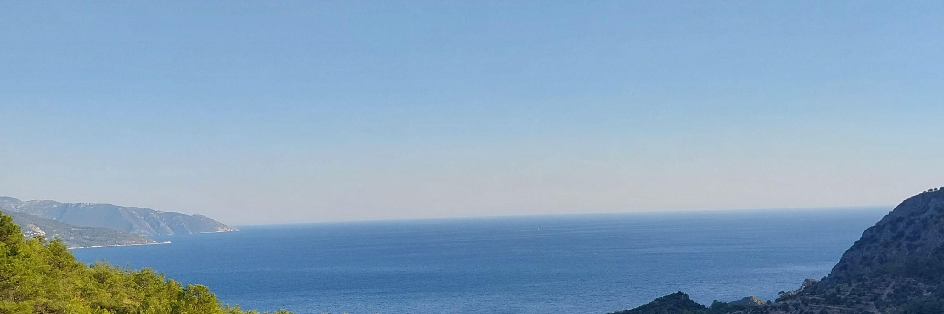 Filiz Ergün