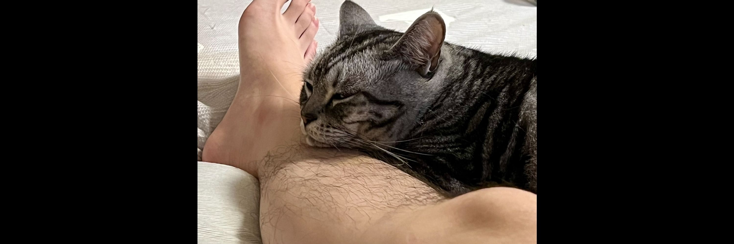 Oli
