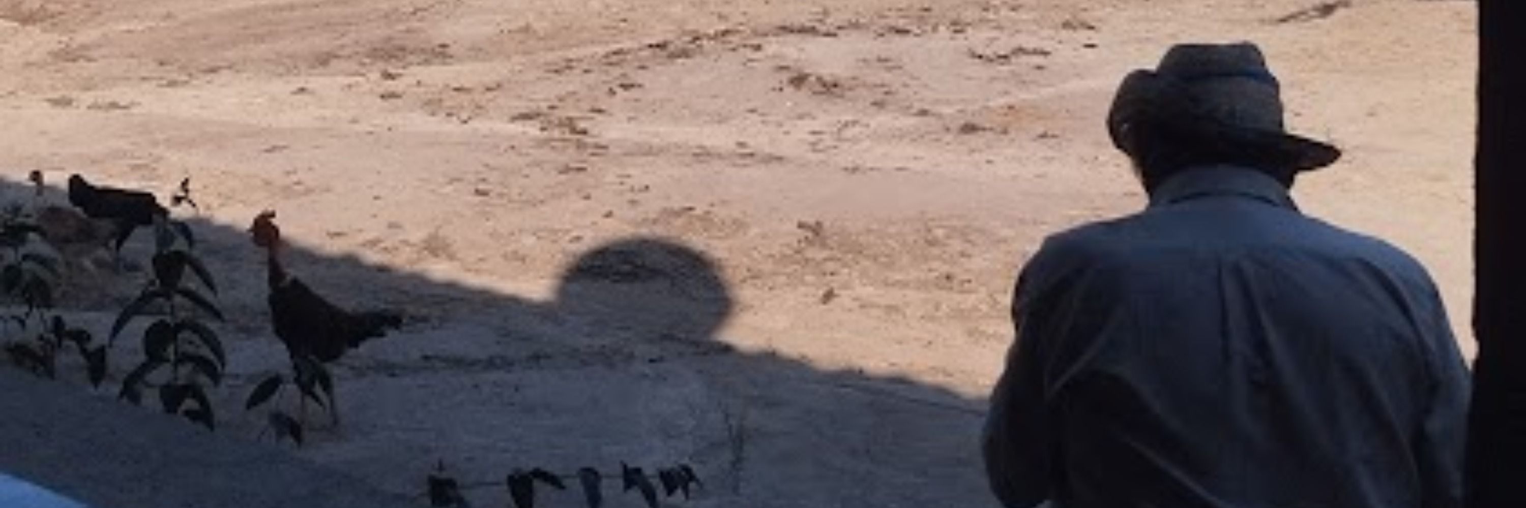 Lui 