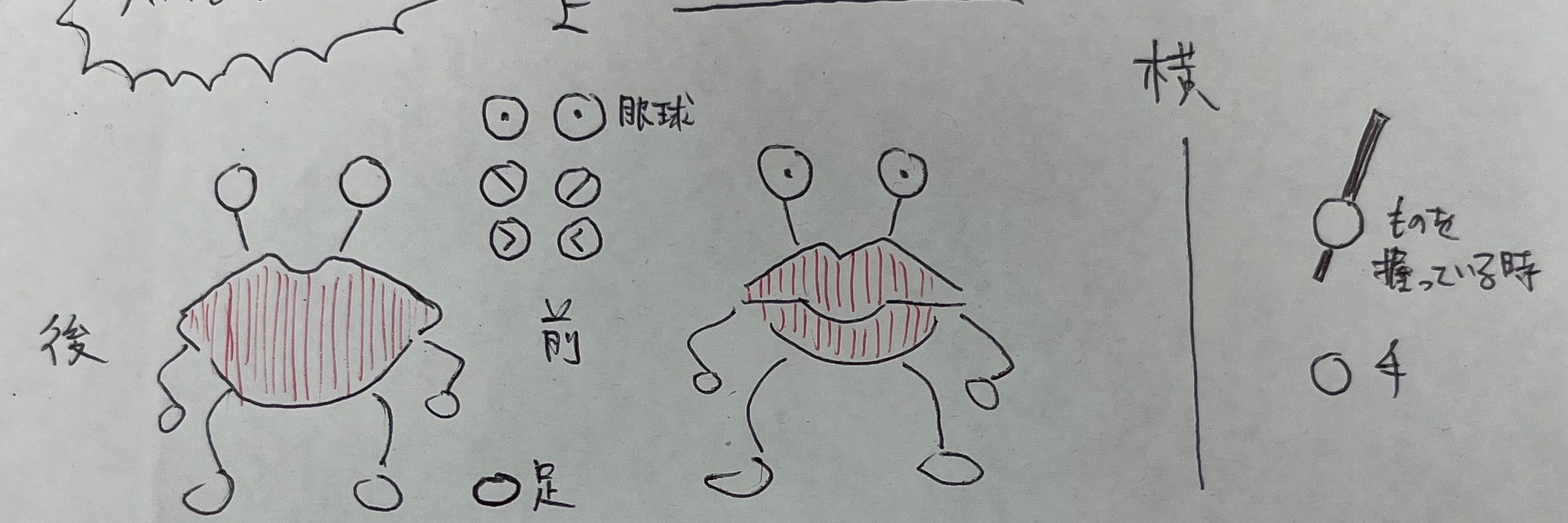 リップマン