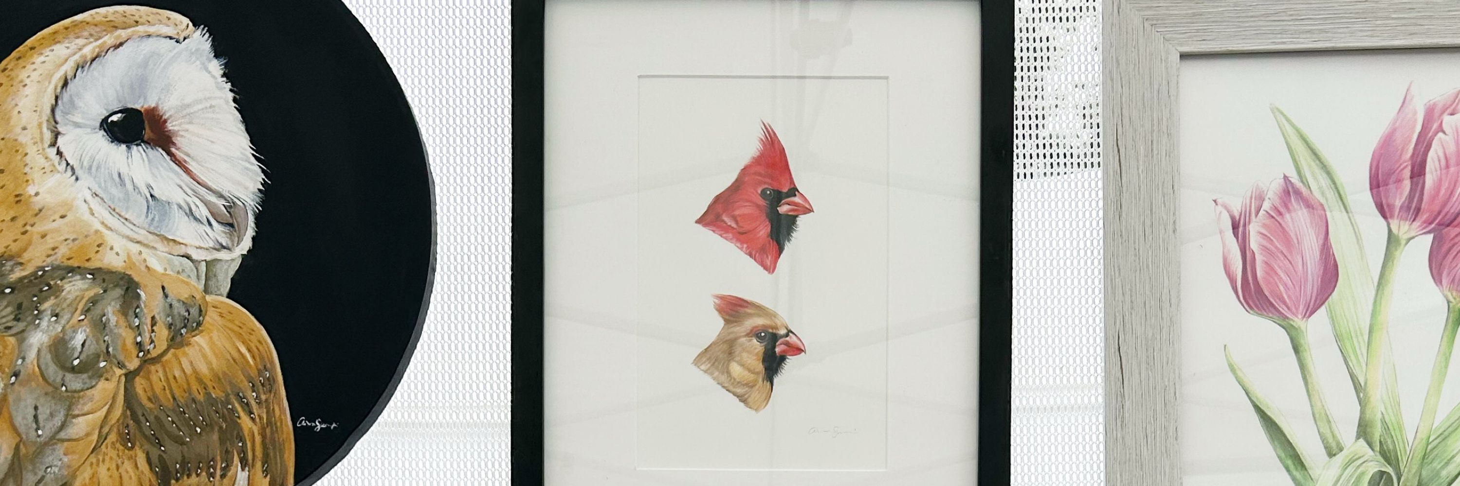 Amanda Surveski Wildlife Art