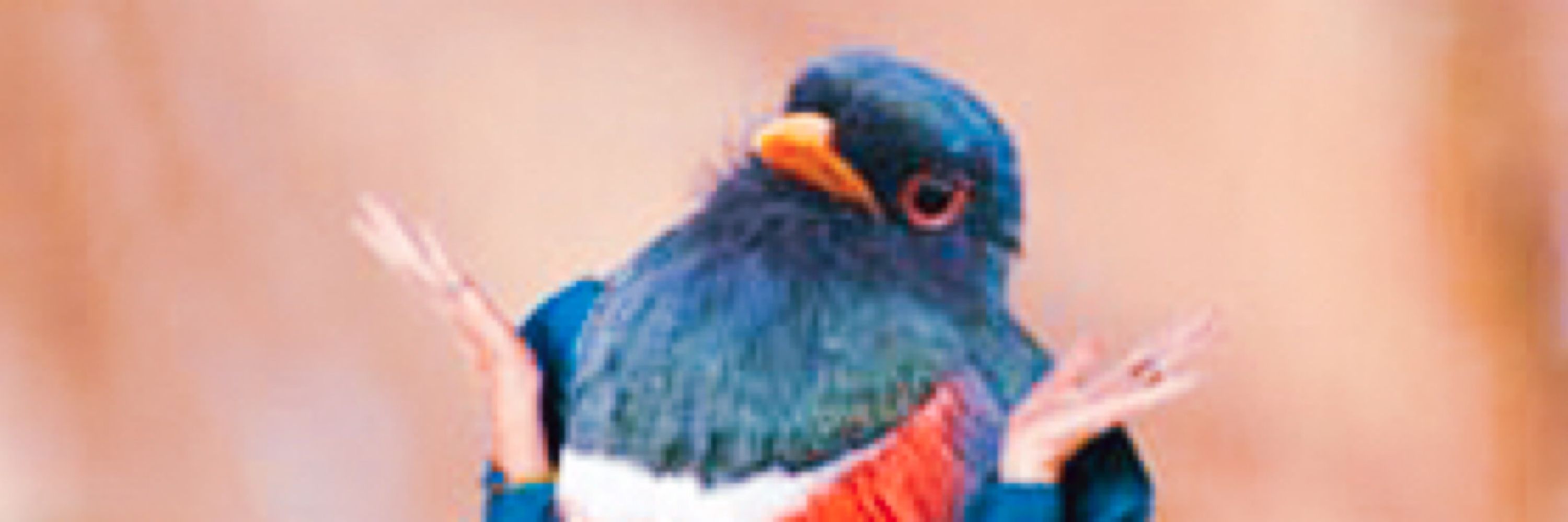 crain (category 5)