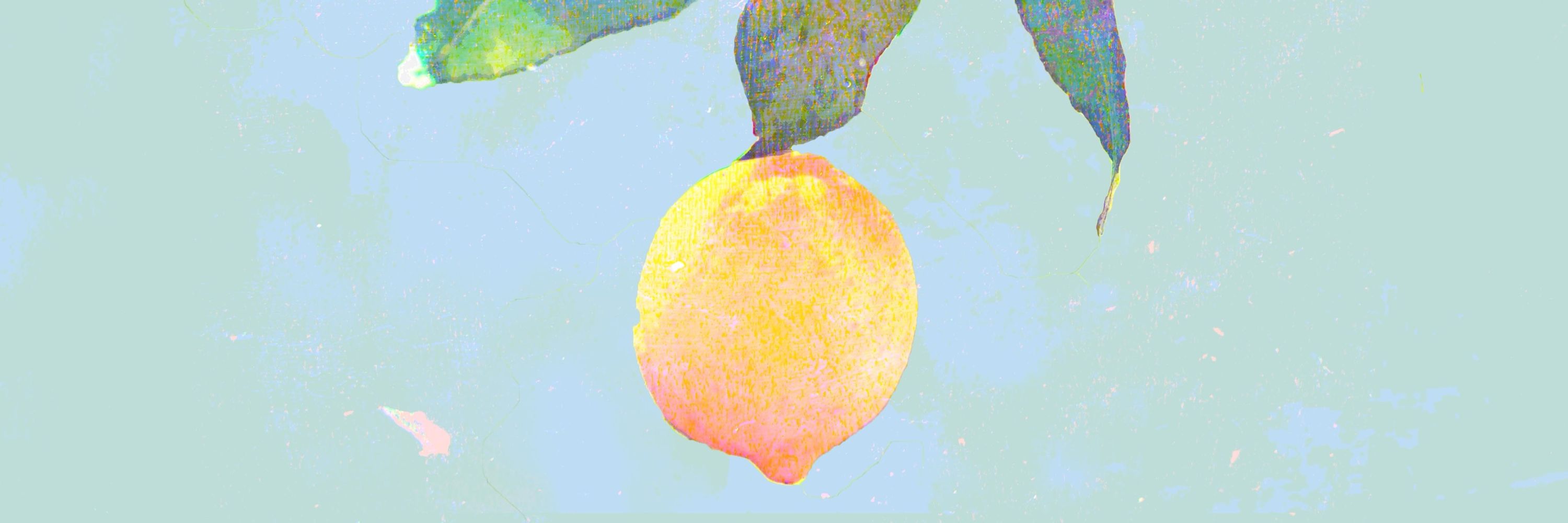 れいん
