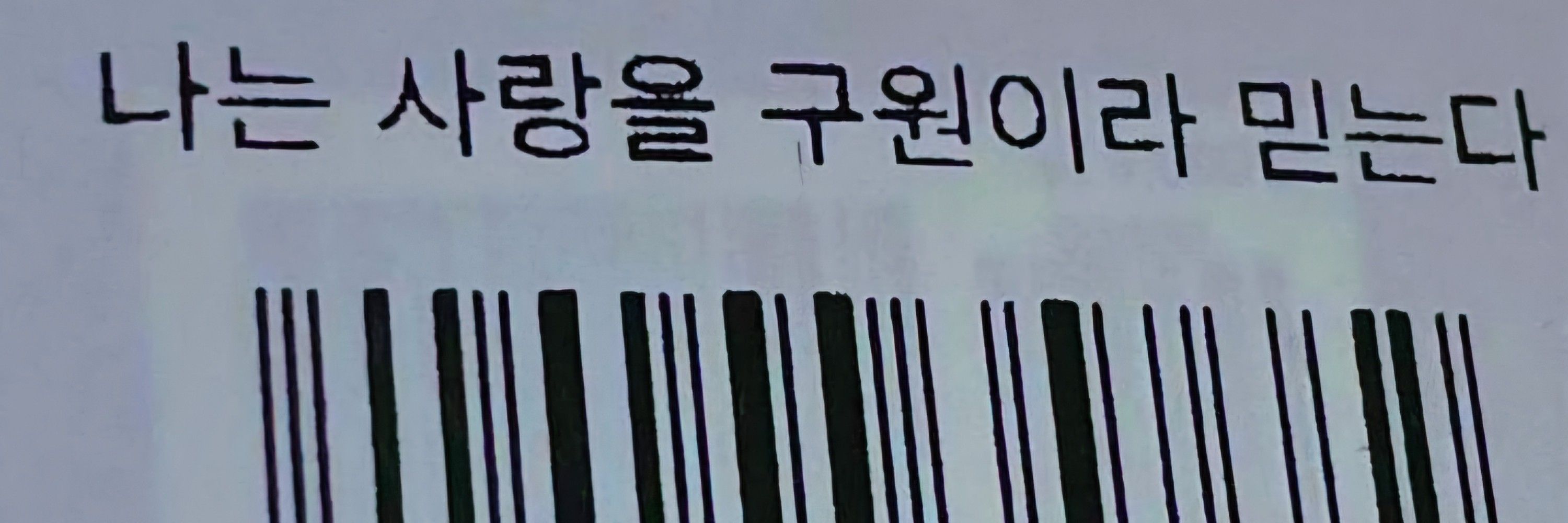 물풀