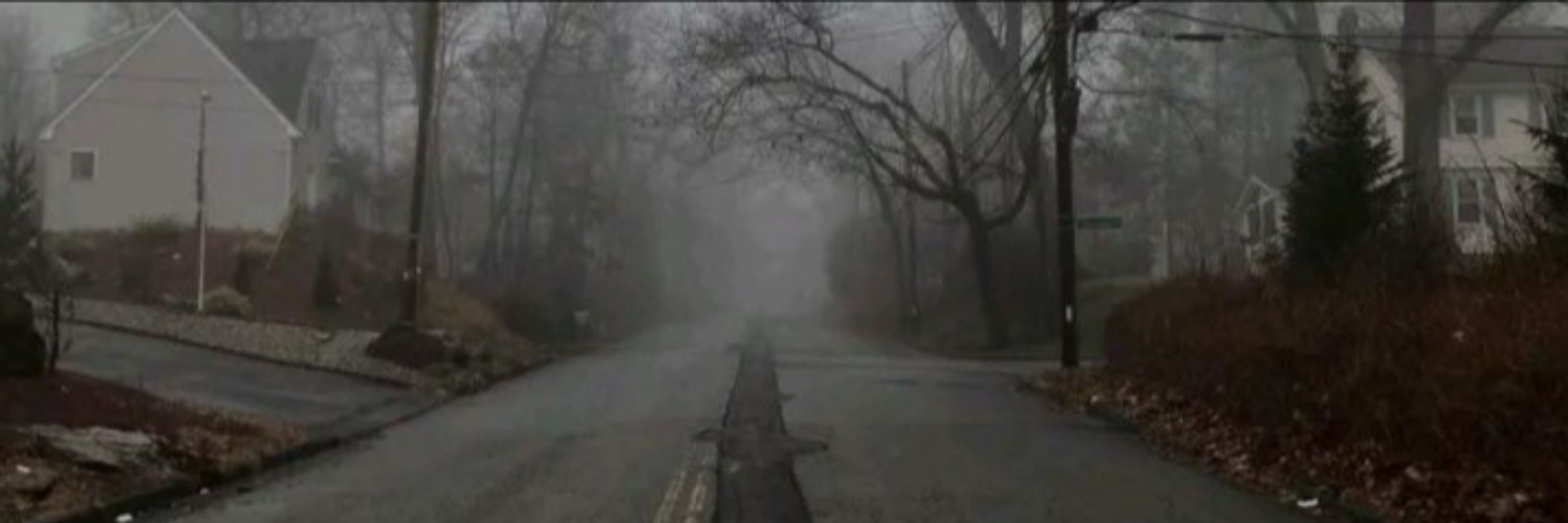 ScaredLilies
