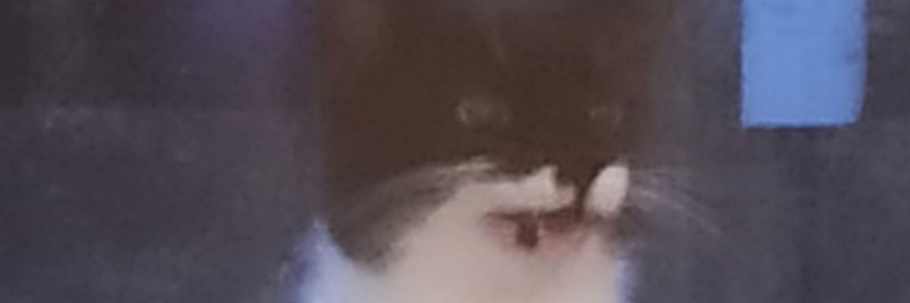 Paul