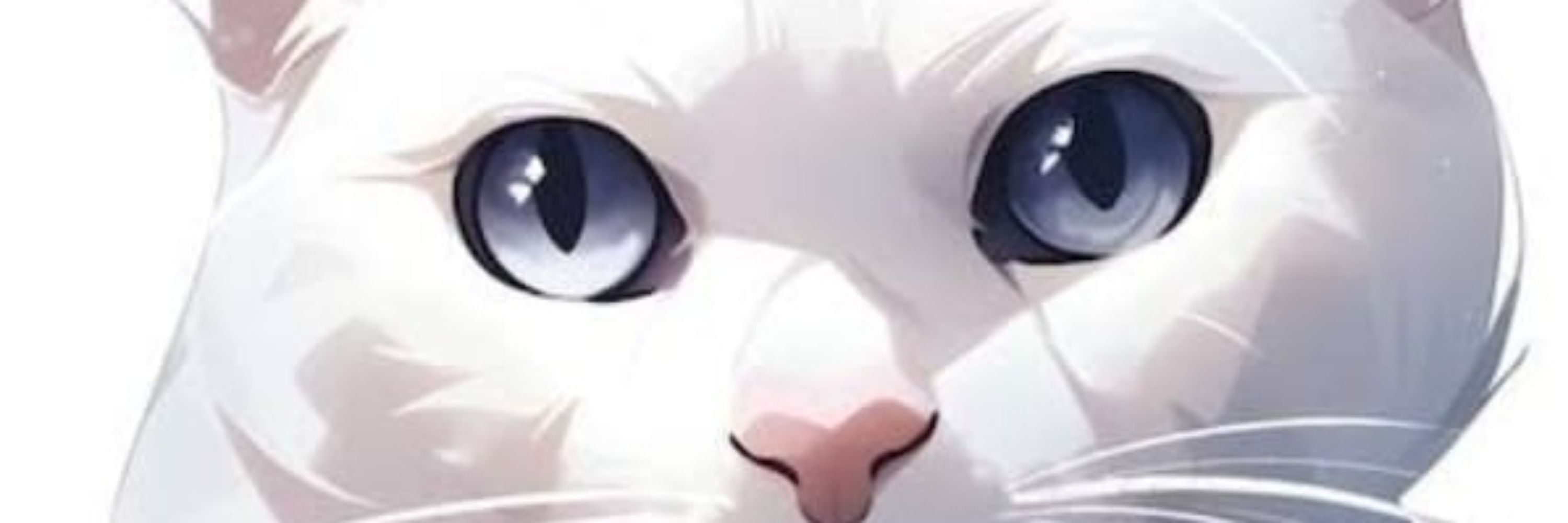 Ray._.244