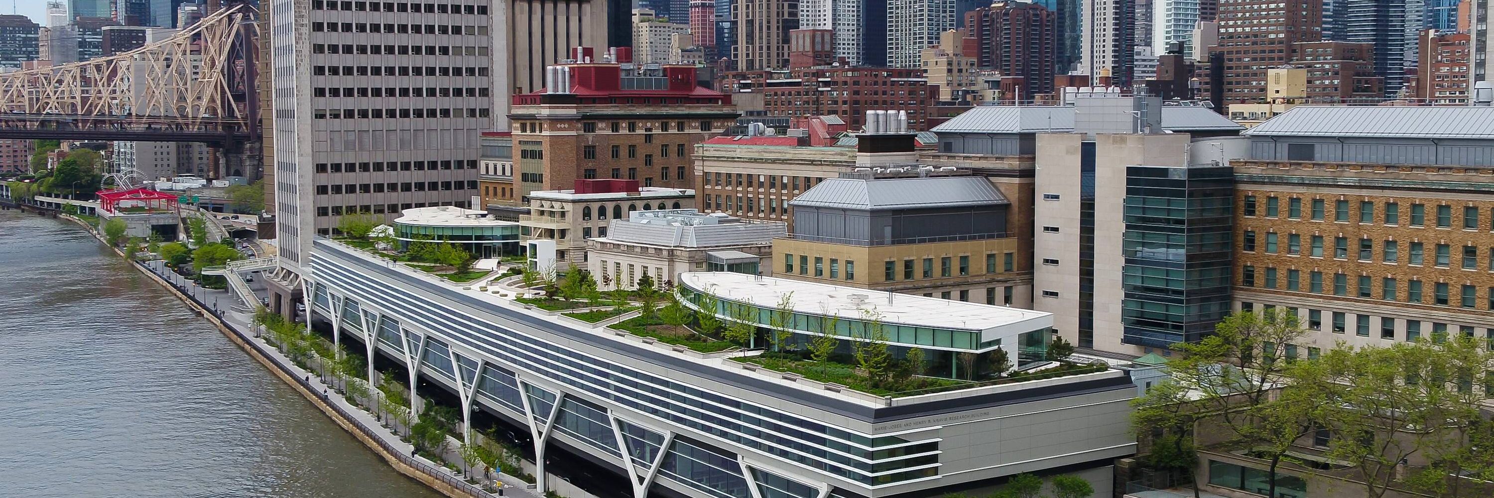 The Rockefeller University 