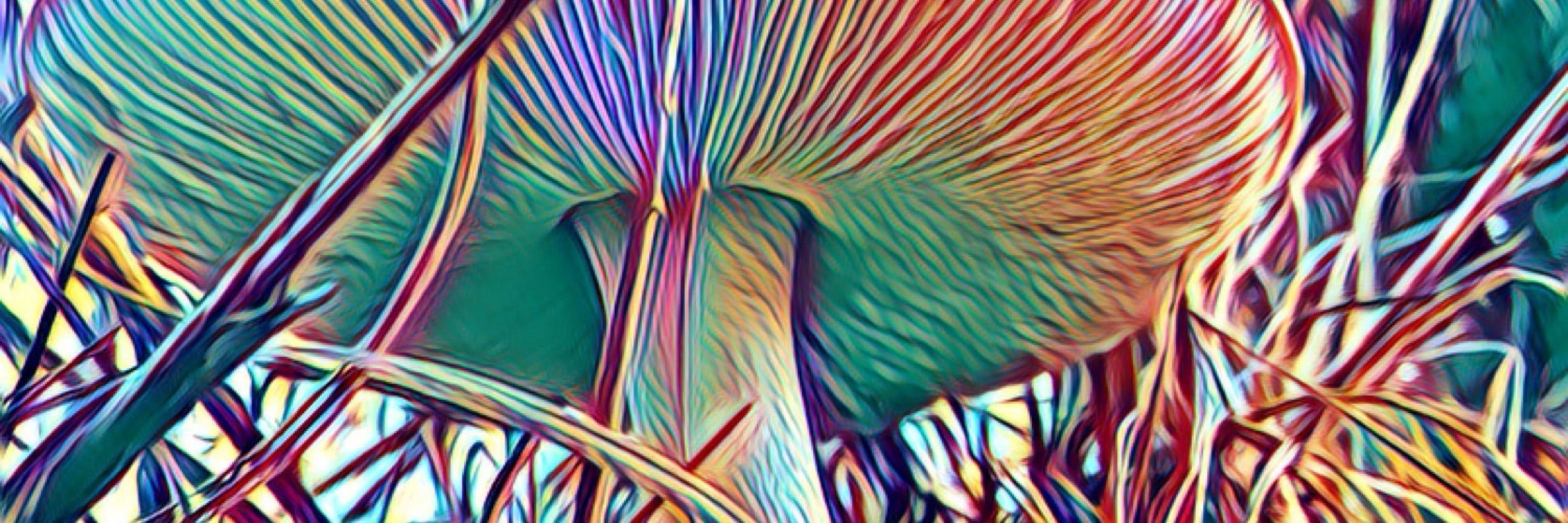 ⛧⚛️ Queer Deer 🍄🫠