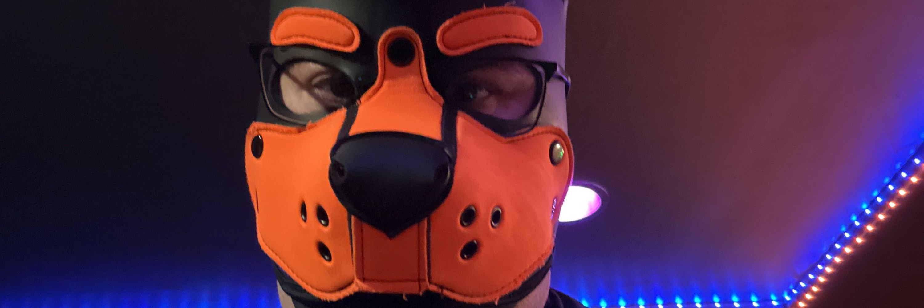 DJ Pup Techie