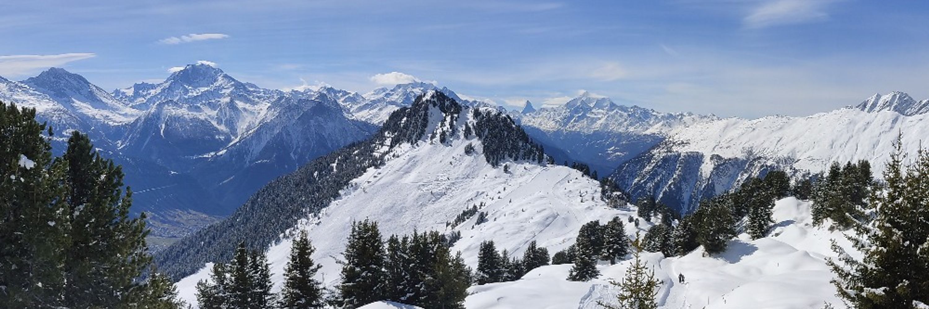 Julien Luneau