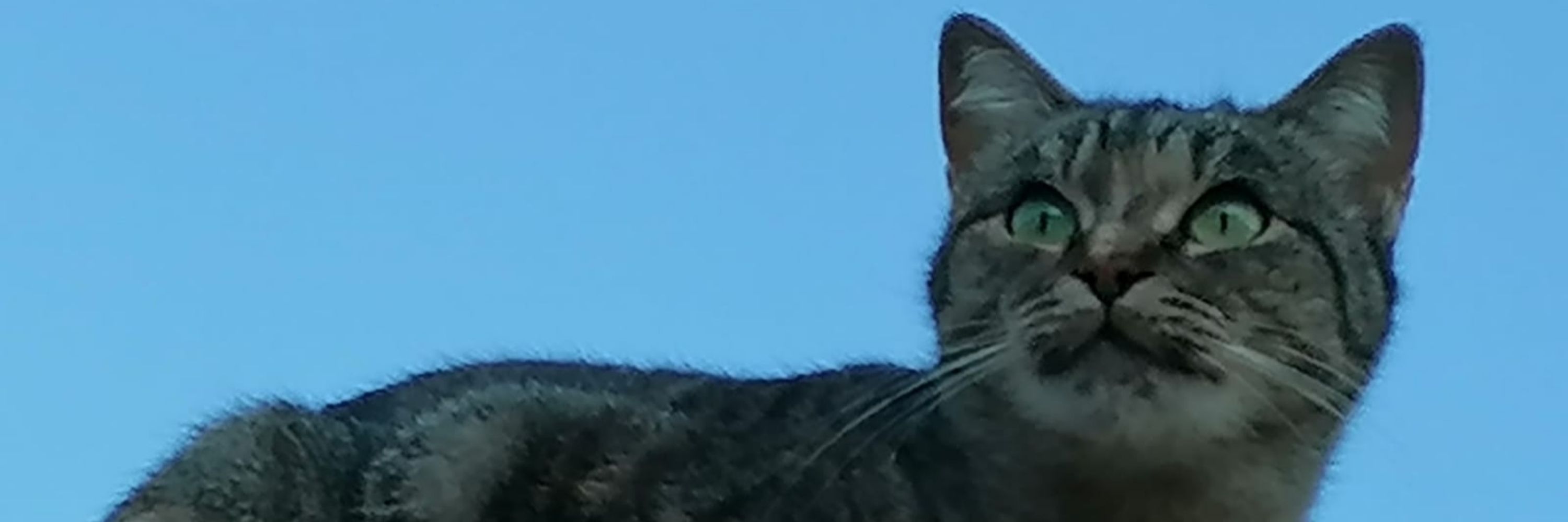 Júlio