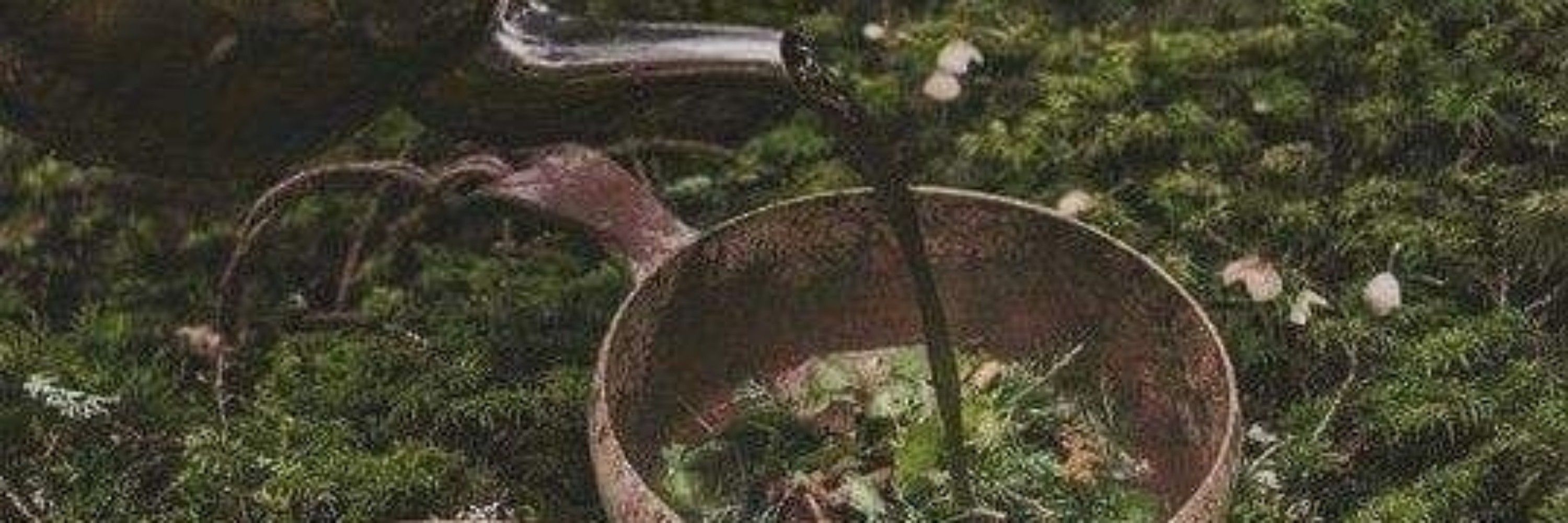 🪲🍃Oakley🍄🍵