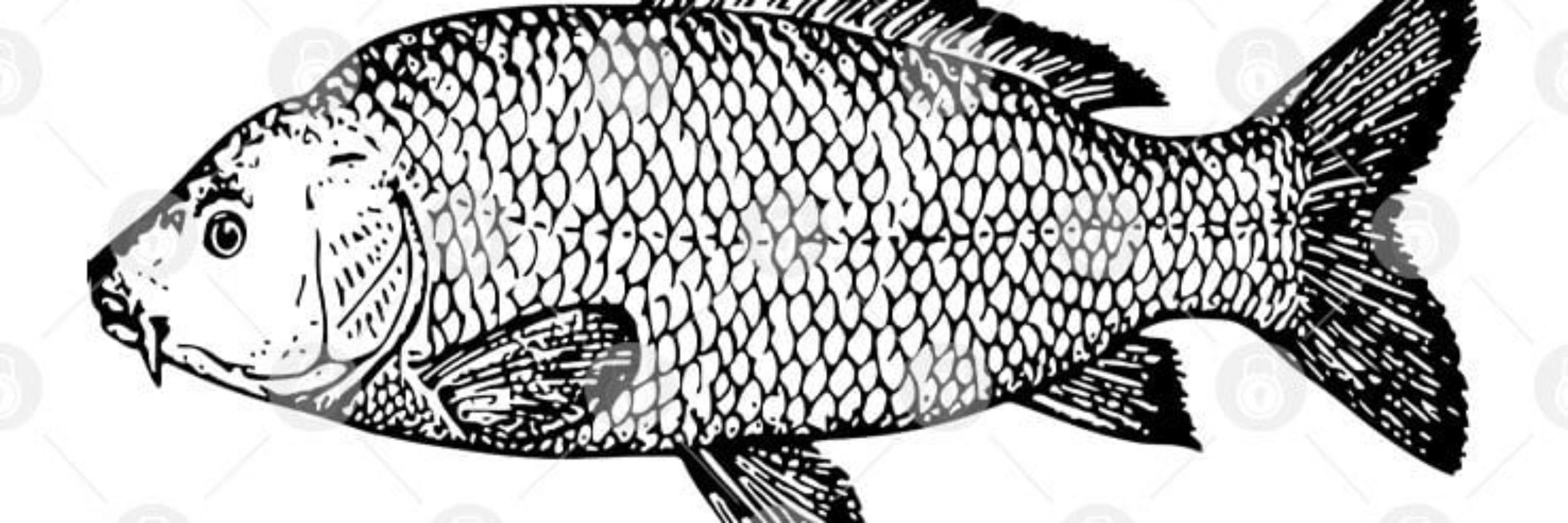 Manolo