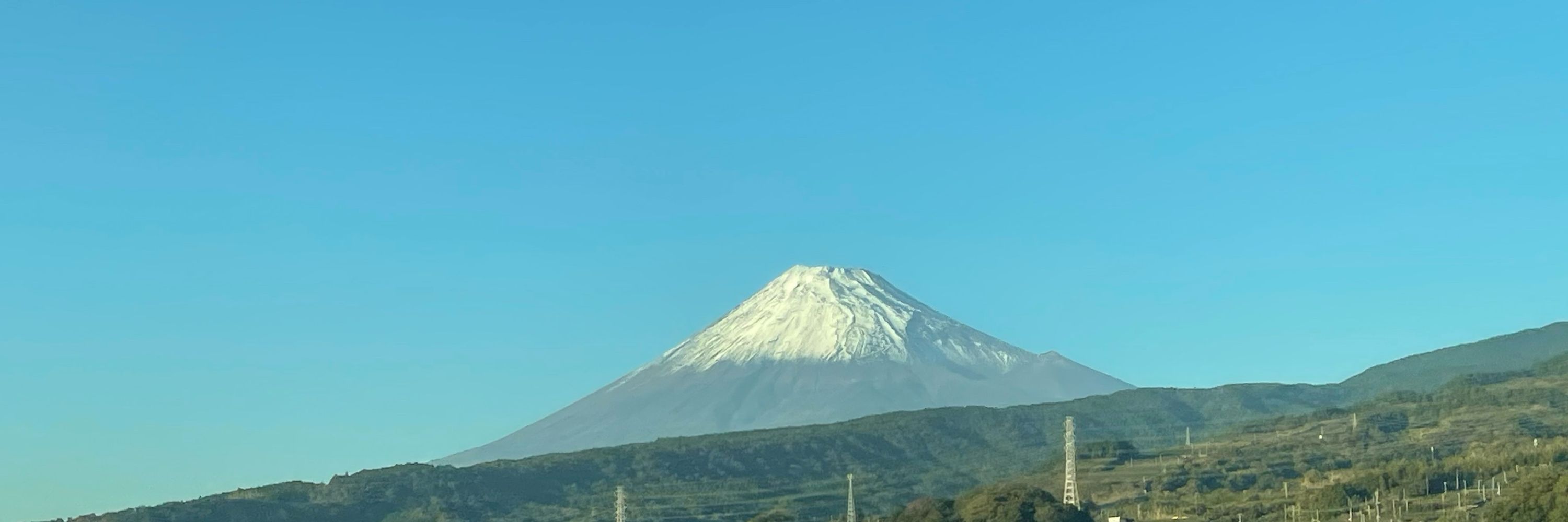 こむぎここあ