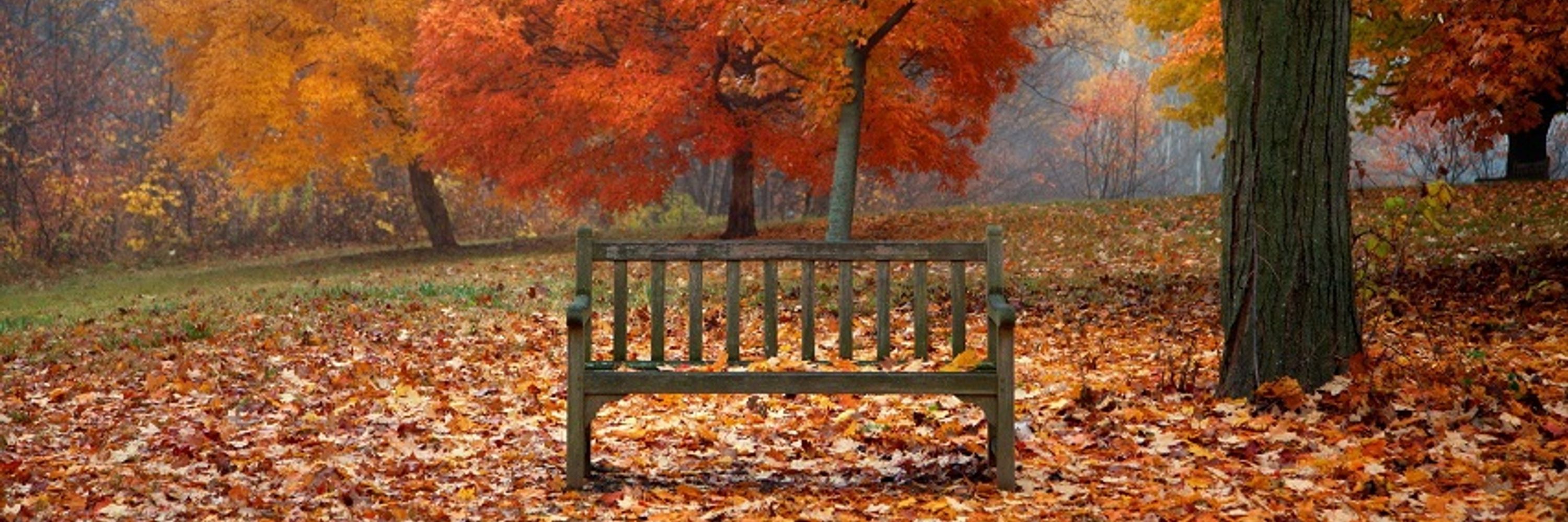 Happily Retired