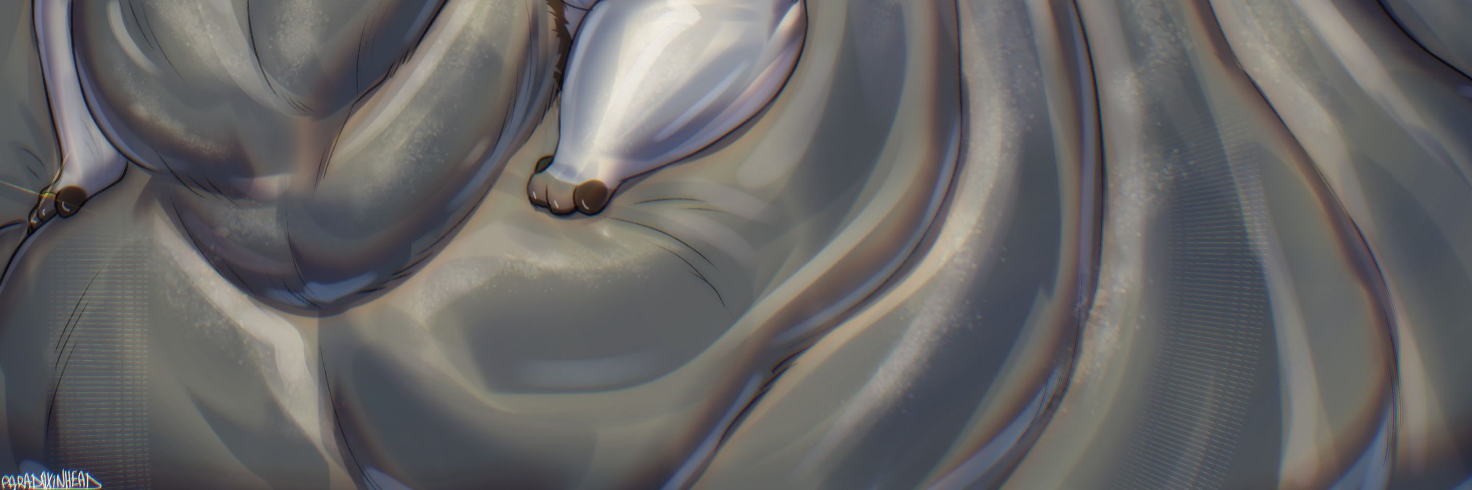 Ventricus