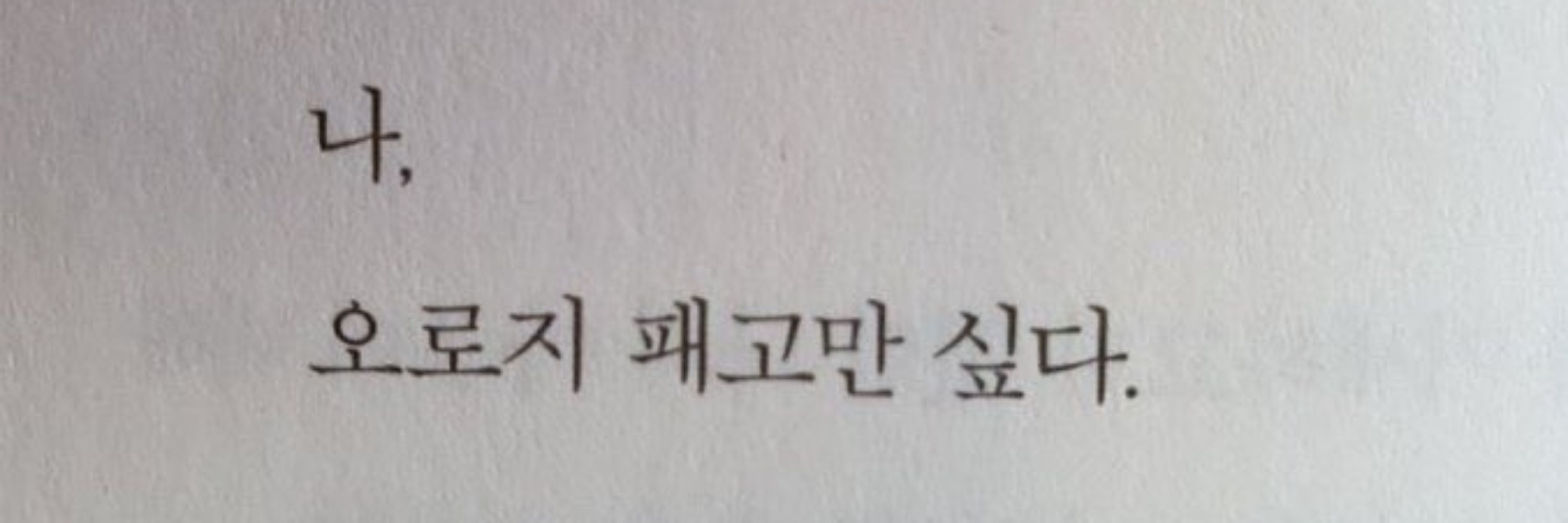 롱차🔒