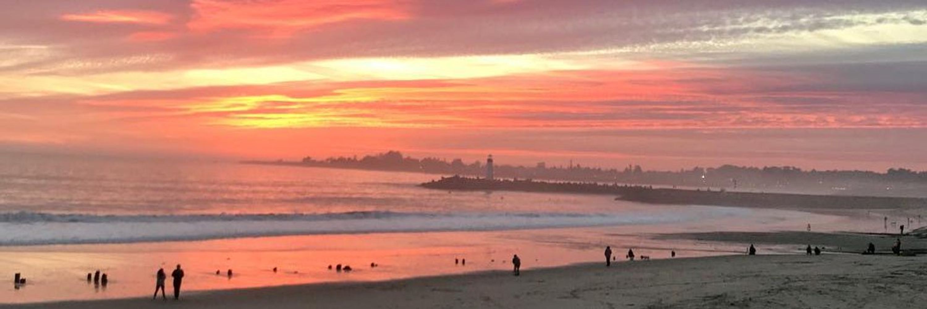 Lookout Santa Cruz