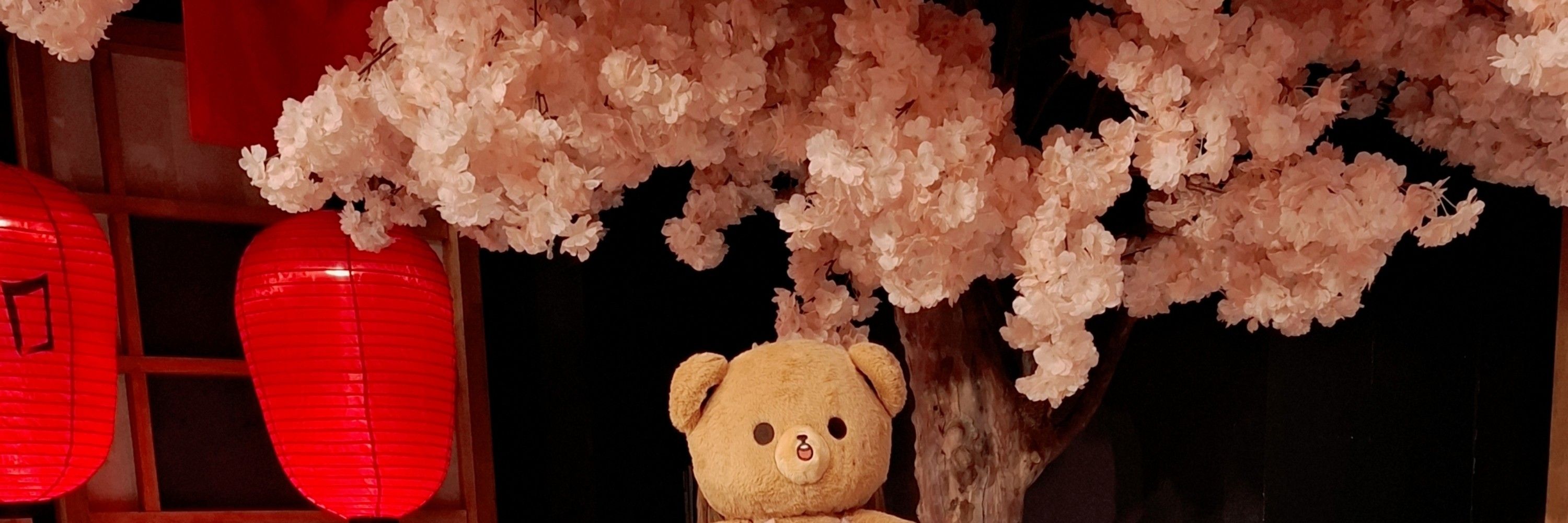𝐣𝐮𝐧𝐞 💗