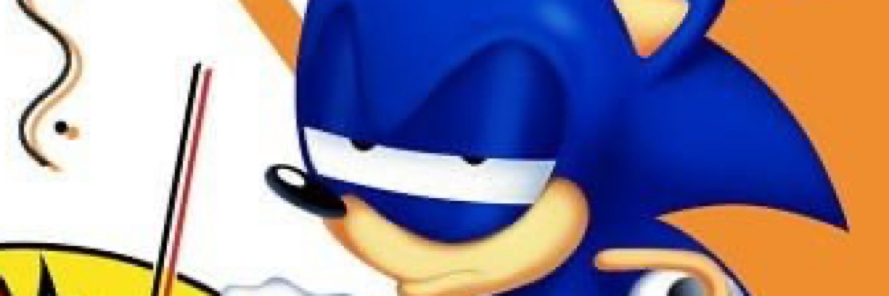 ソニック !!!!!!!! ⭑