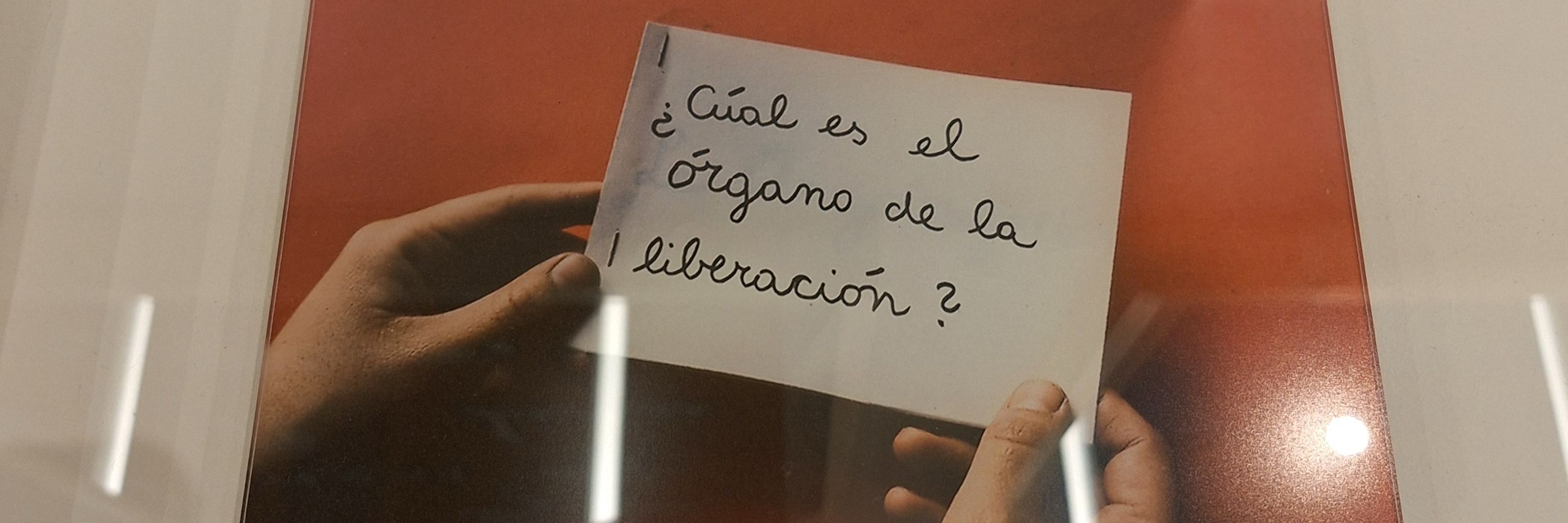 Só Ceci