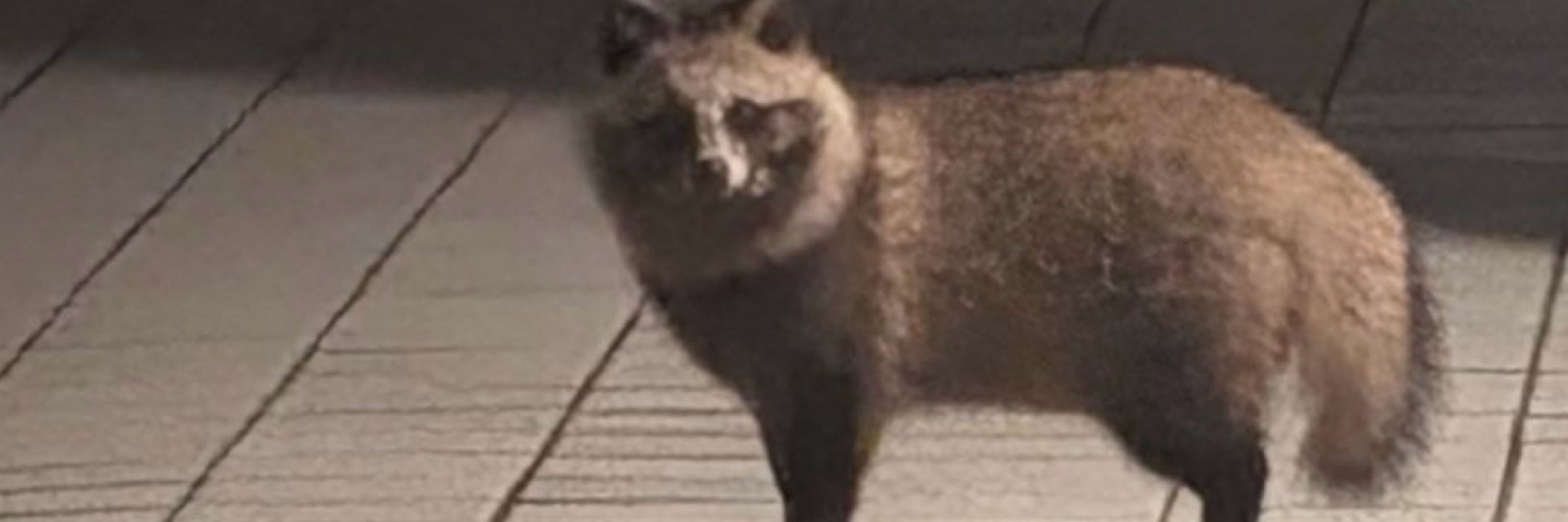 牧野