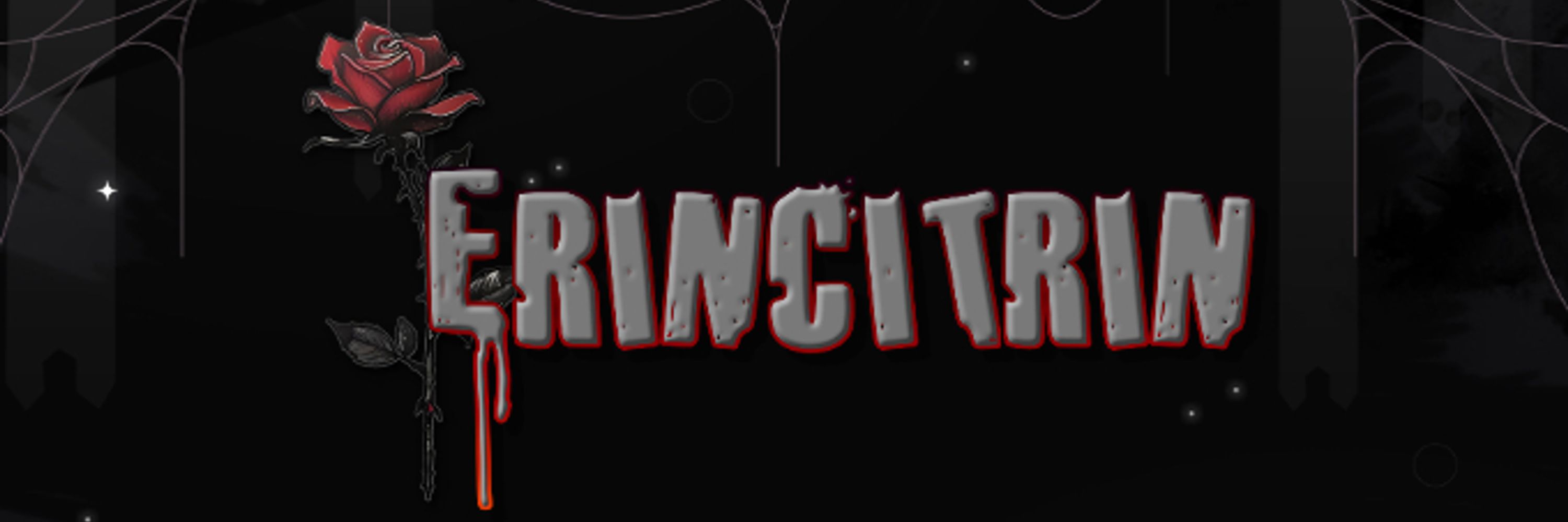 ErinCitrin