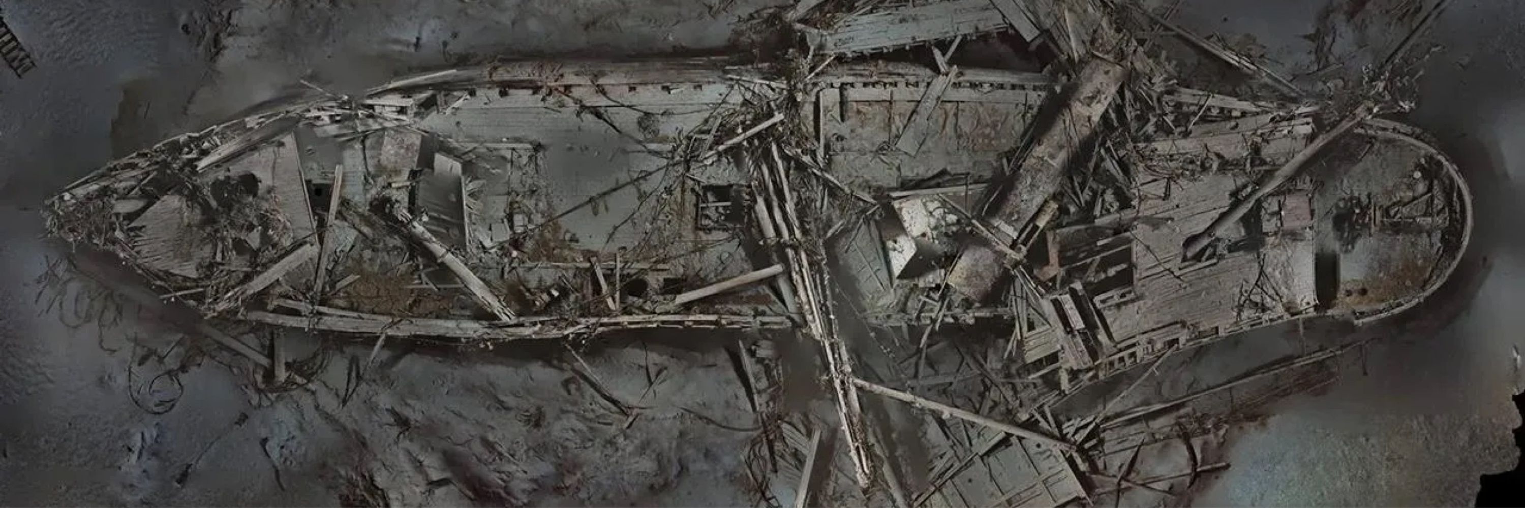 ArchaeoWolf