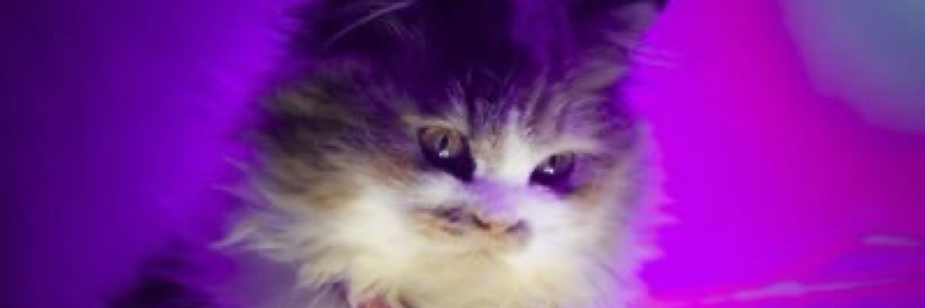 ゆたか