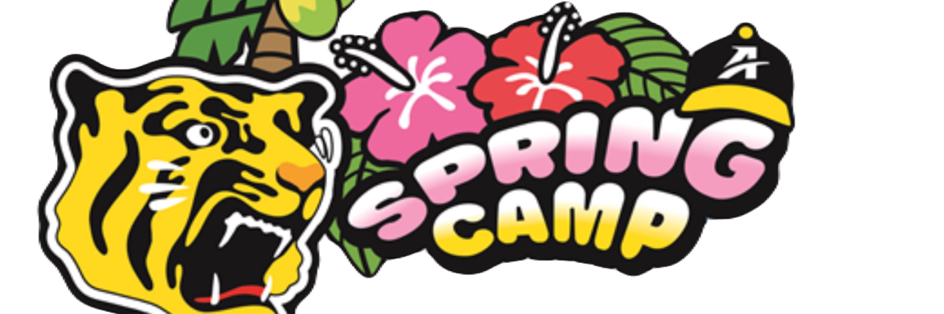 なんでやねん佐々木　阪神タイガースサポーター