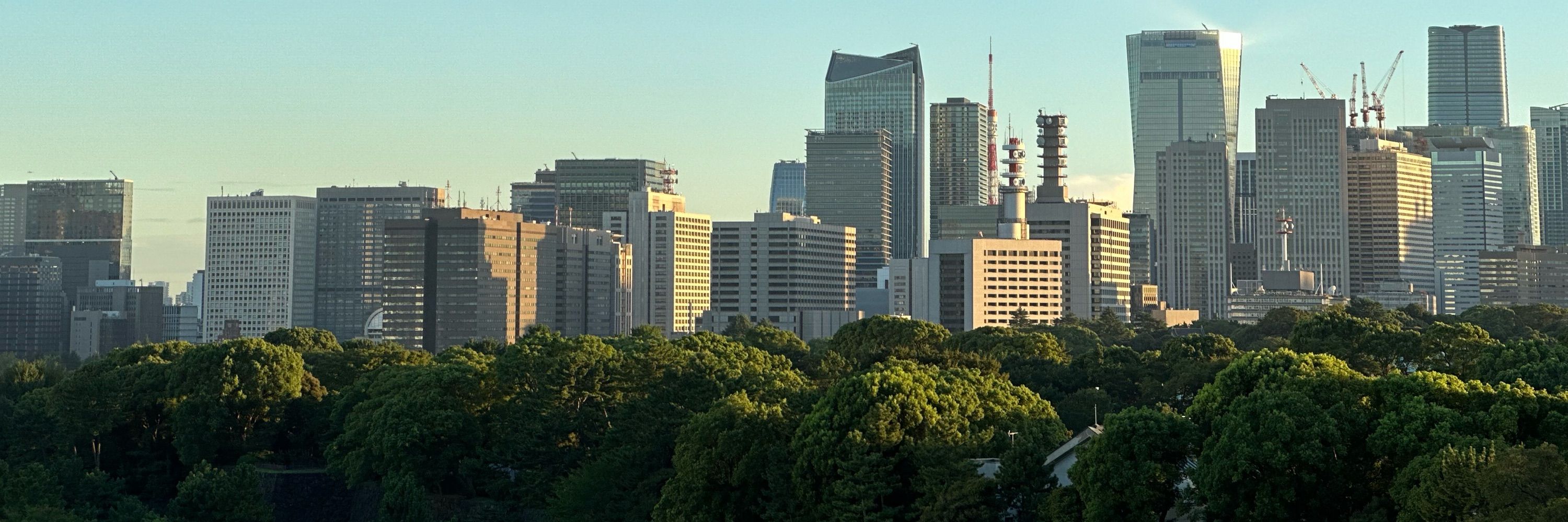 いとうたかのり